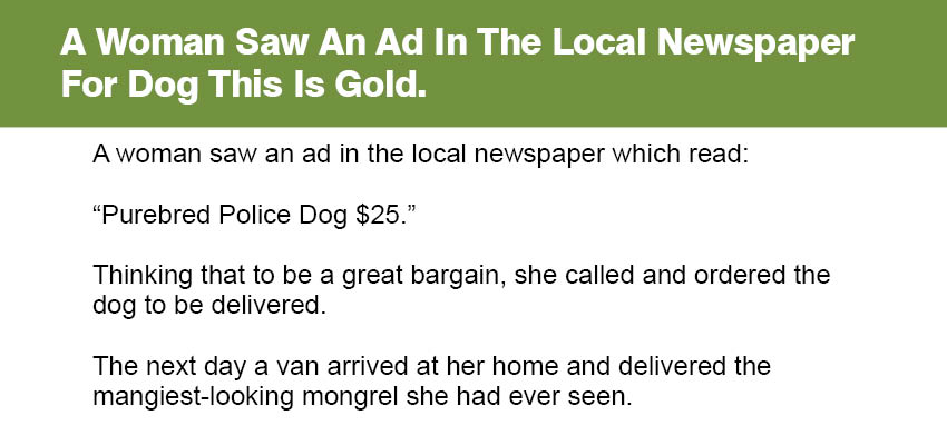 A Woman Saw An Ad In The Local Newspaper For Dog