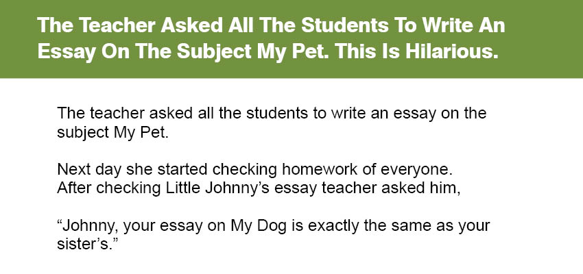 my pet teacher essay