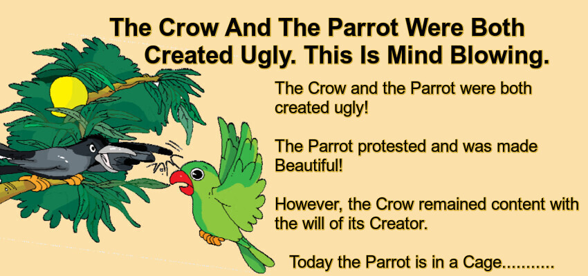 The Crow And The Parrot Were Both Created Ugly.