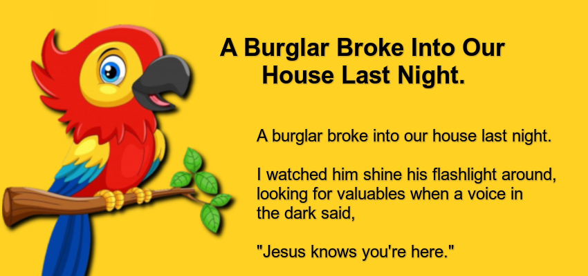 A Burglar Broke Into Our House Last Night.