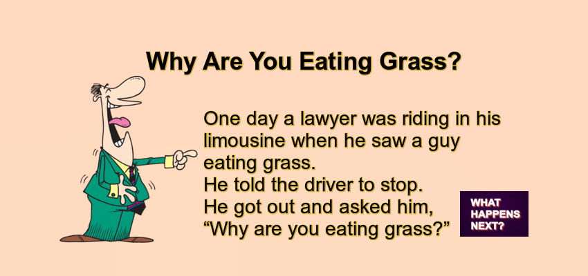 Why Are You Eating Grass? - Balancing Nutrition While Eating Grass Is Excessive
